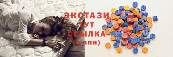 хмурый Алексин