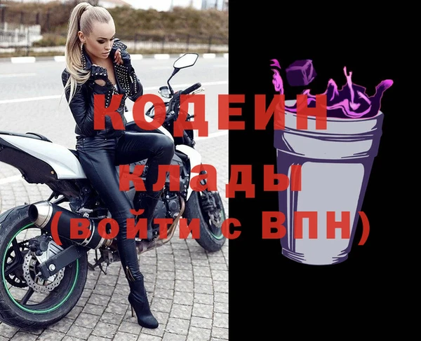 хмурый Алексин