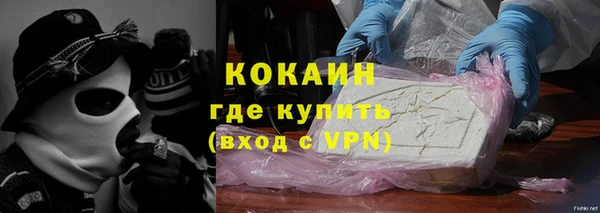 хмурый Алексин