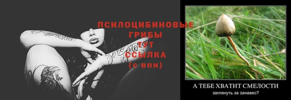 2c-b Алзамай