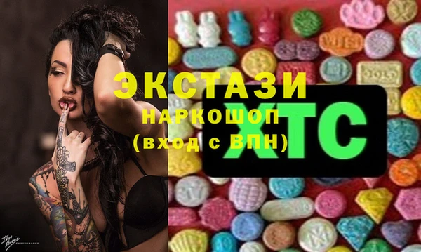 хмурый Алексин
