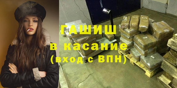 хмурый Алексин
