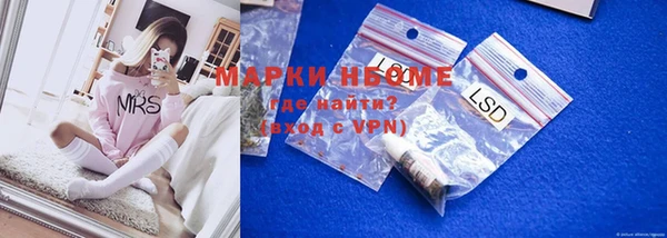 хмурый Алексин