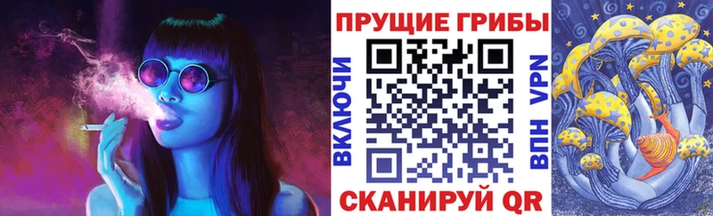 KRAKEN ссылки  Устюжна  Галлюциногенные грибы мицелий 